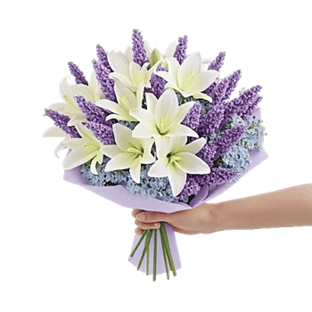Lavender Bloom Grace
