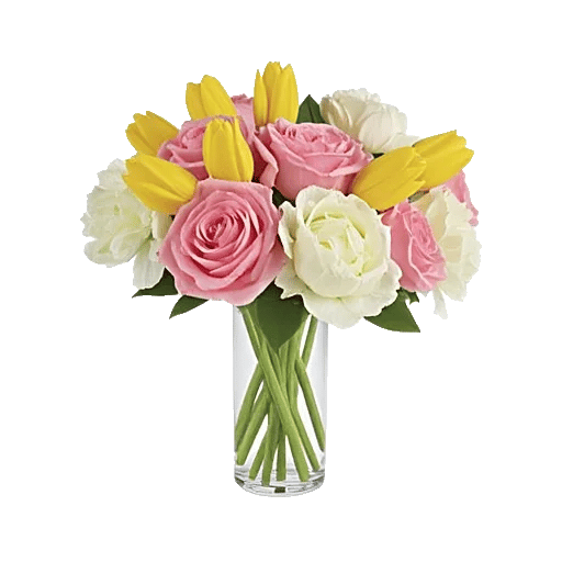 Petal Radiance Bliss