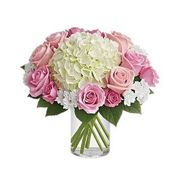 Ivory Blossom Radiance