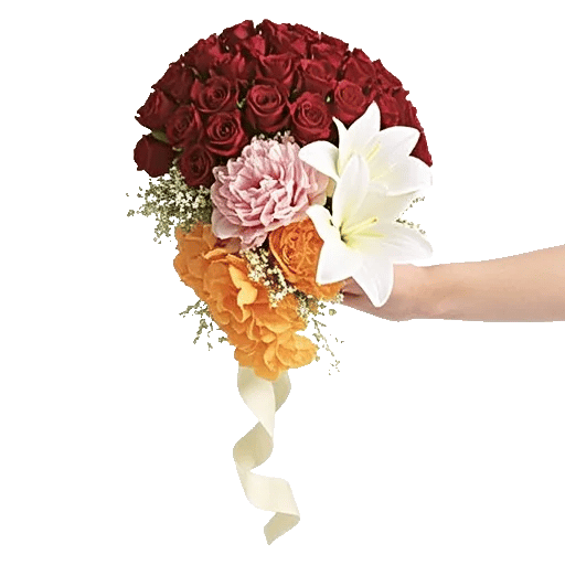 Delicate Petal Cascade