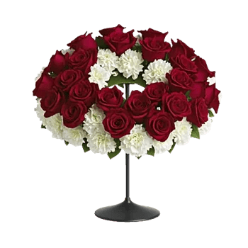 Crimson Rose Elegance