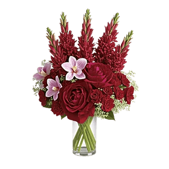 Petal Radiance Bliss