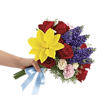 Blossom Harmony Display