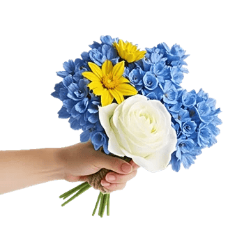 Serenity Blossom Grace