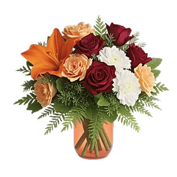 Petal Radiance Bliss