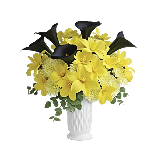 Elegant Calla Lilies