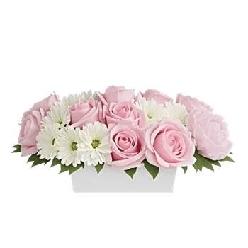 Delicate Petal Cascade