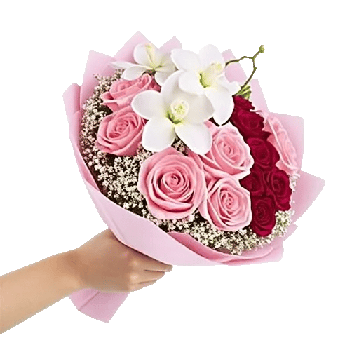 Blushing Rose Symphony