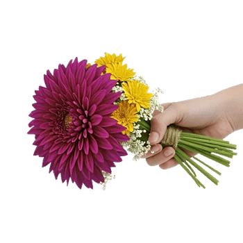 Radiant Bloom Cascade