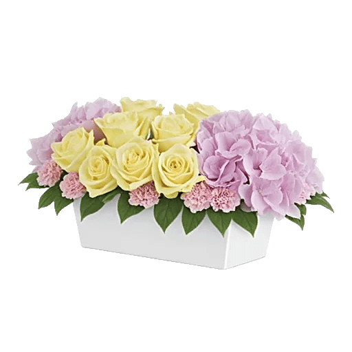 Delicate Petal Cascade