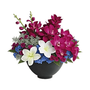 Modern White Orchids