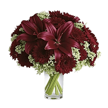 Crimson Lily Glow