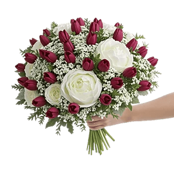 Peony Petal Harmony