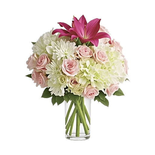 Ivory Blossom Radiance