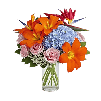 Orchid Bloom Cascade