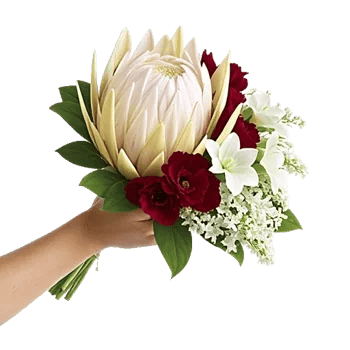 Ivory Blossom Radiance