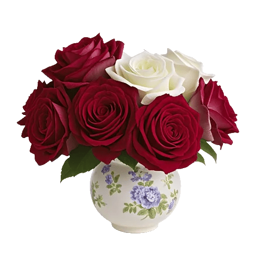 Crimson Rose Elegance