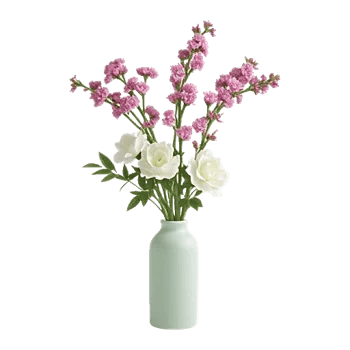 Plum Blossom Radiance