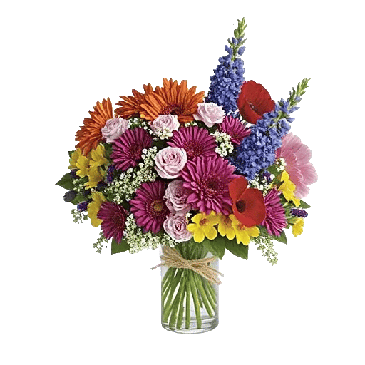 Petal Radiance Bliss