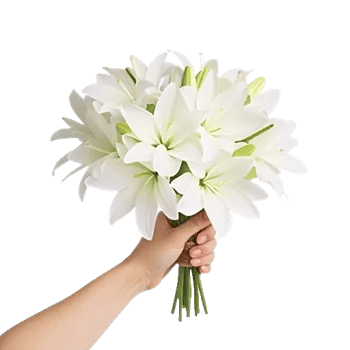 Graceful Lily Display