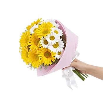 Enchanting Daisy Garden