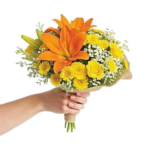 Blossom Glow Symphony