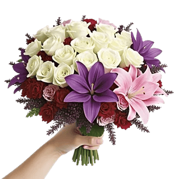 Blushing Rose Symphony