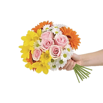 Petal Harmony Bliss