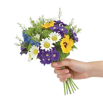 Rosemary Bloom Elegance