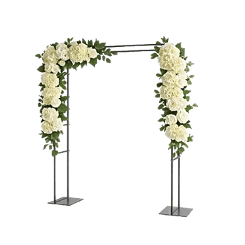 Modern White Orchids