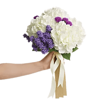 Ivory Blossom Radiance