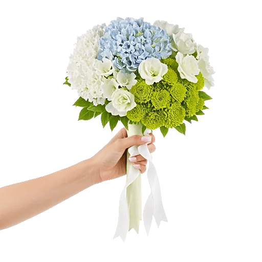 Serene Petal Harmony