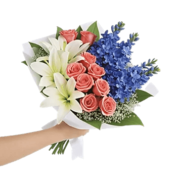 Blossom Petal Serenity