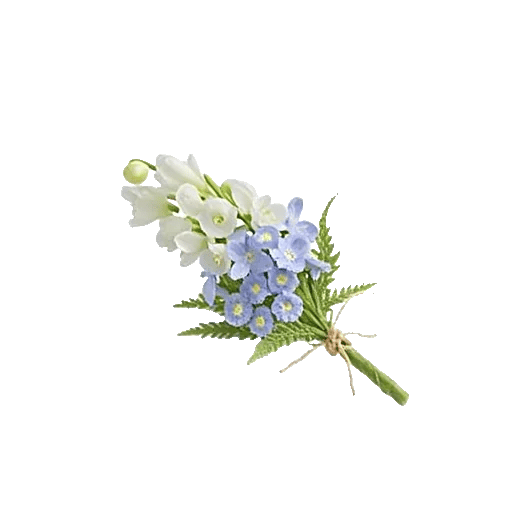 Blossom Petal Serenity