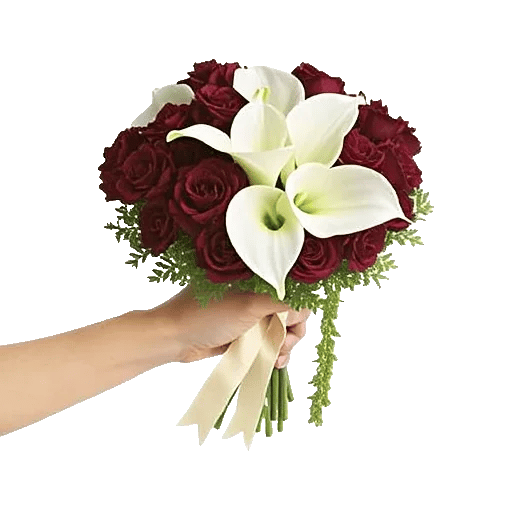 Elegant Calla Lilies