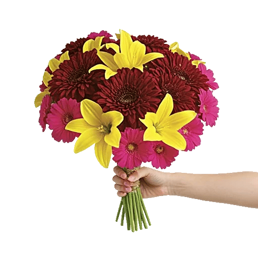 Crimson Blossom Harmony