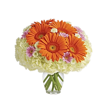 Petal Radiance Bliss