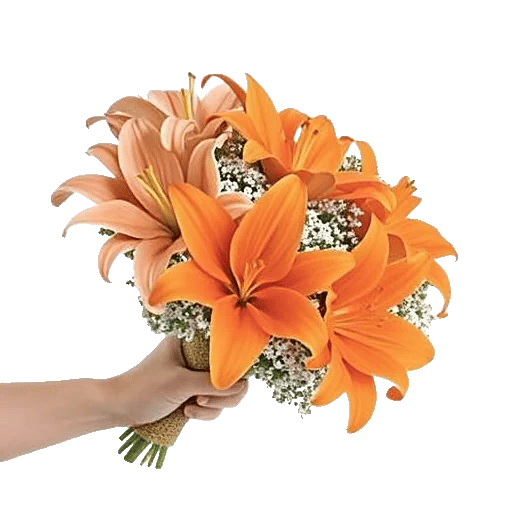 Blossom Glow Symphony