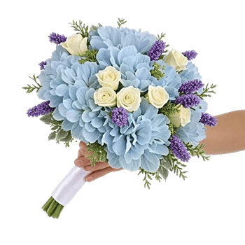 Serene Petal Harmony