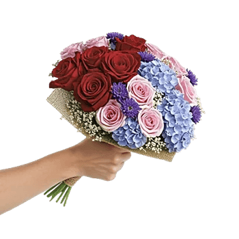 Crimson Rose Elegance