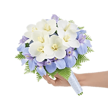 Serenity Orchid Bloom