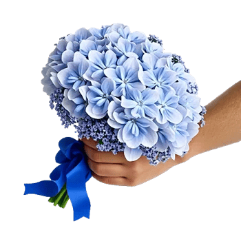 Sapphire Bloom Whisper