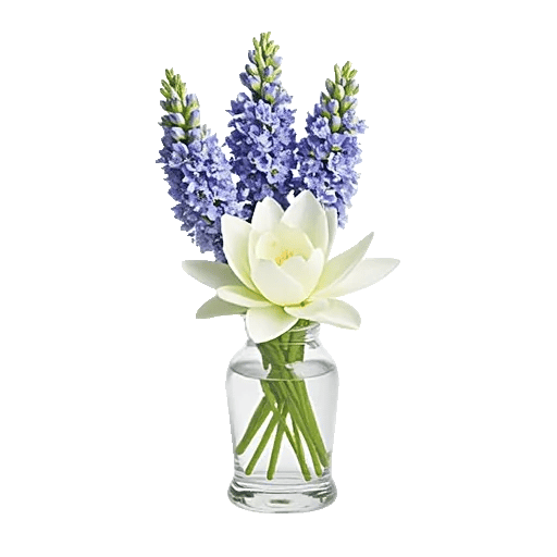 Graceful Lily Display