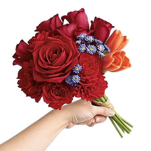 Crimson Rose Elegance