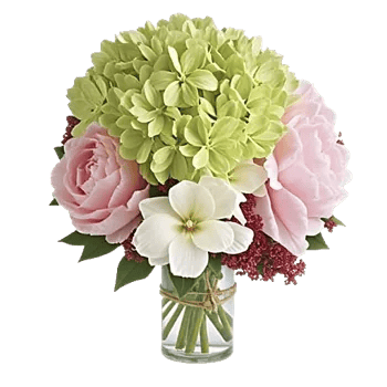 Ivory Blossom Radiance