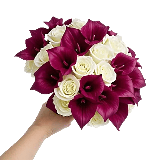 Blushing Rose Symphony