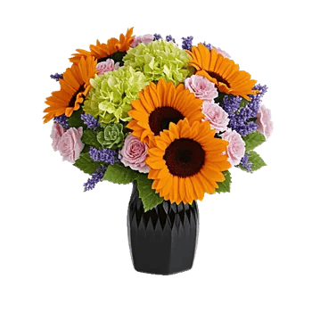 Radiant Bloom Cascade