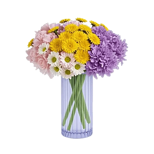 Petal Radiance Bliss