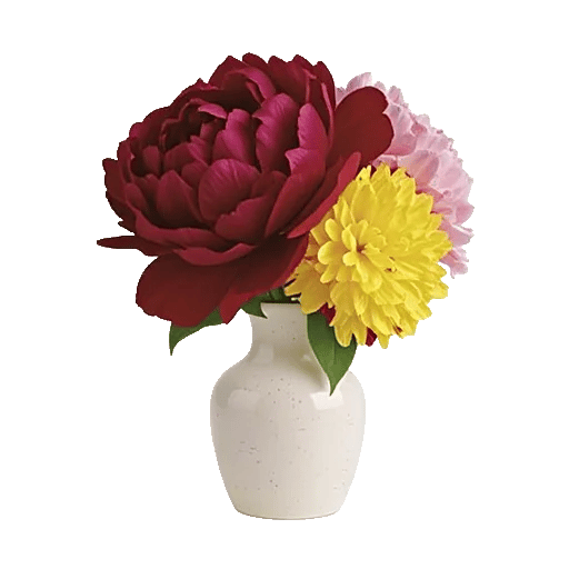 Petal Radiance Bliss