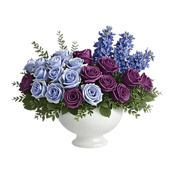Elegant Blue Roses
